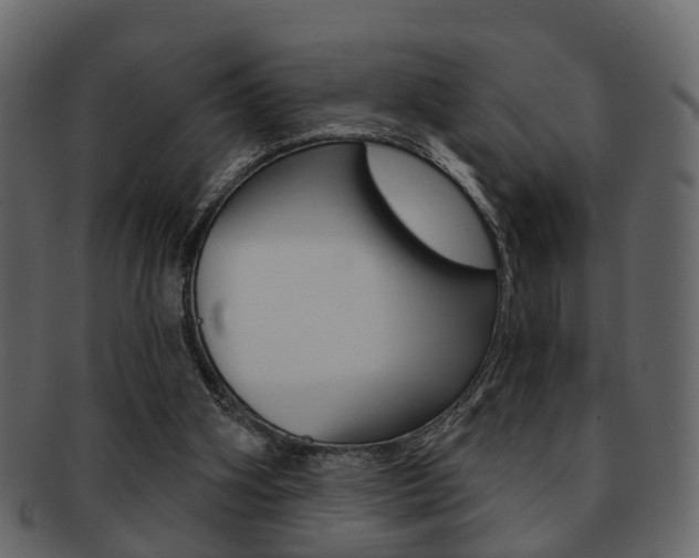 X0000093210106200709261433