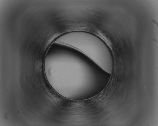 X0000093210107200709261433