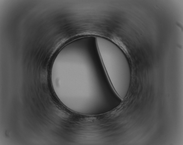 X0000093210108200709261433