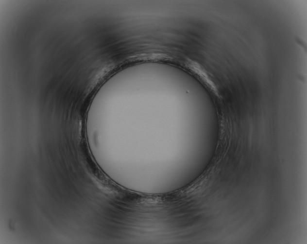 X0000093210110200709261433