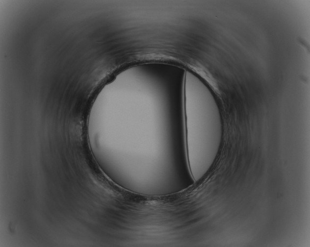 X0000093210111200709261433