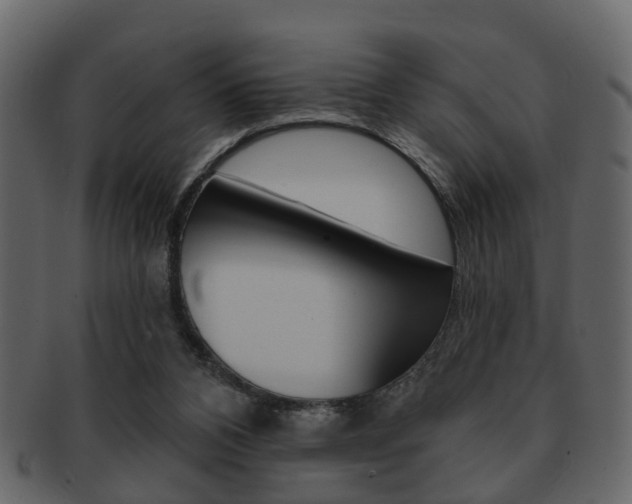 X0000093210112200709261433