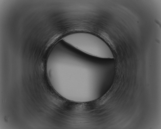 X0000093210116200709261433
