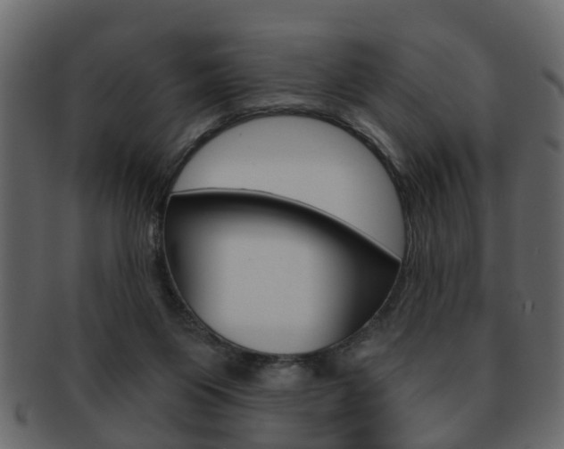 X0000093210119200709261433