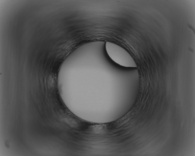 X0000093210126200709261433