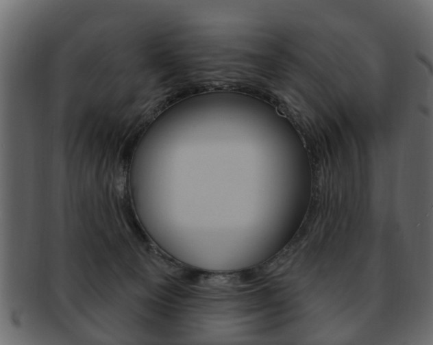 X0000093210129200709261433
