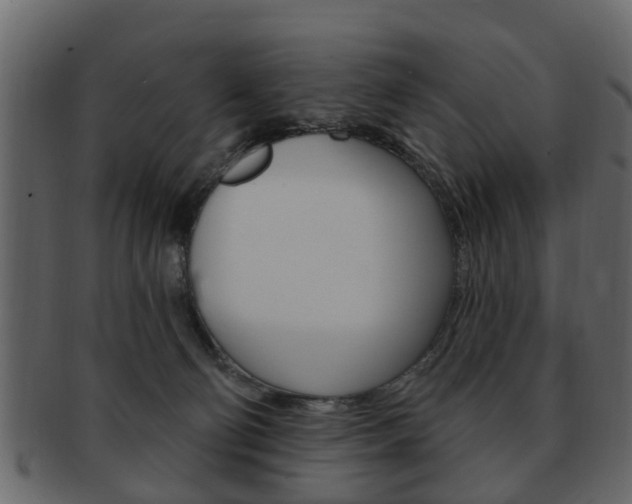 X0000093210130200709261433