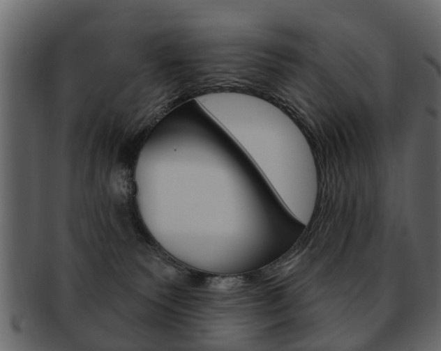 X0000093210135200709261433
