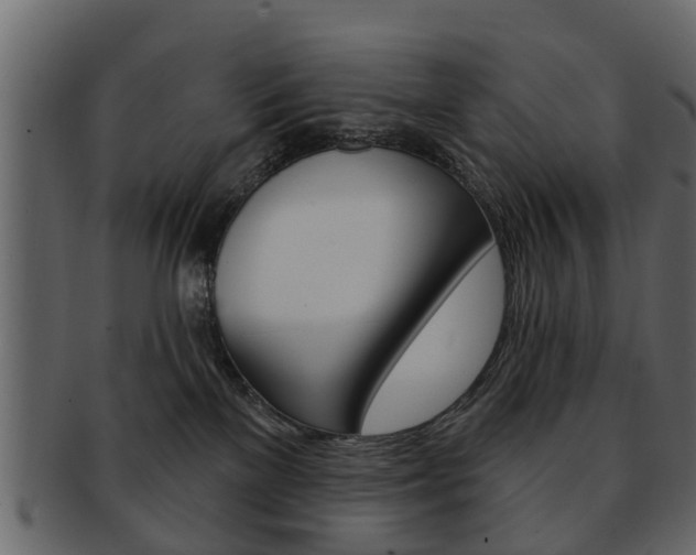X0000093210137200709261433