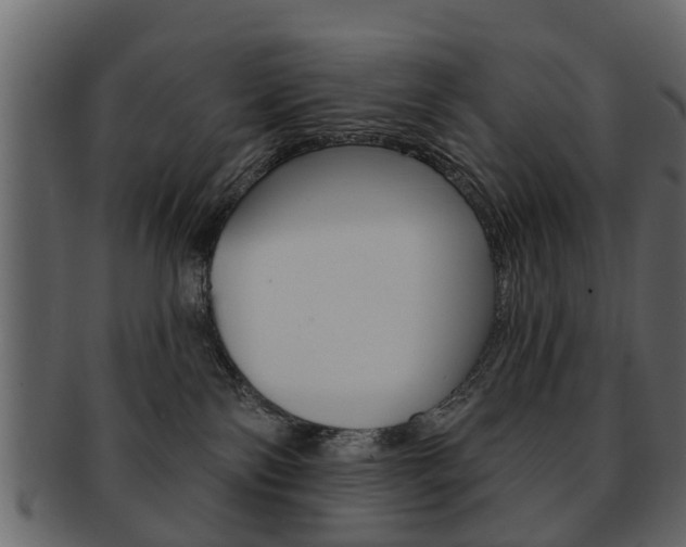 X0000093210138200709261433