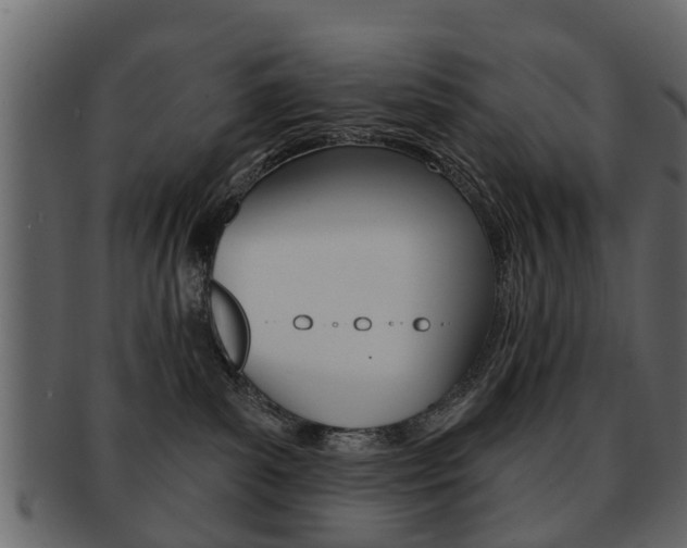 X0000093210139200709261433