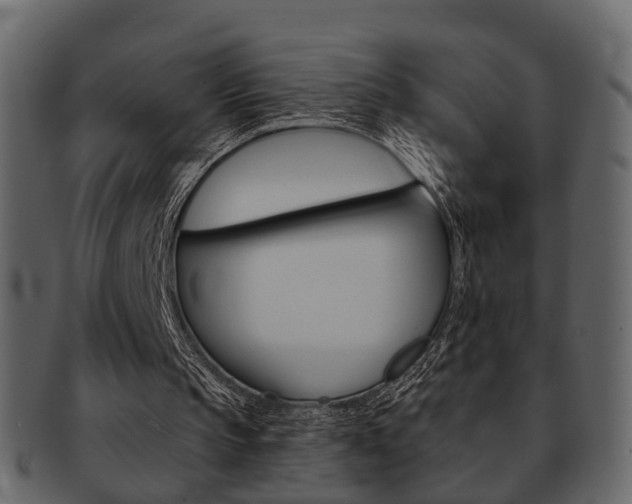 X0000093210145200709261432