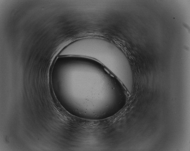 X0000093210148200709261432