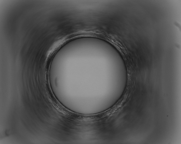 X0000093210149200709261432