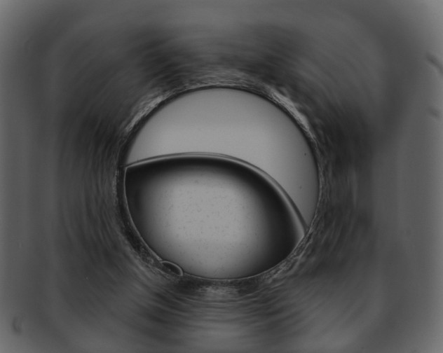 X0000093210154200709261432