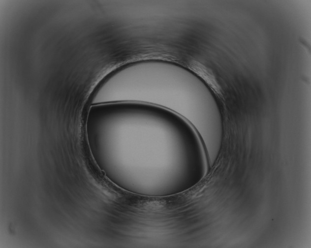 X0000093210156200709261432