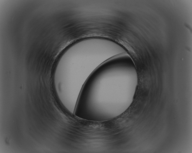 X0000093210160200709261432