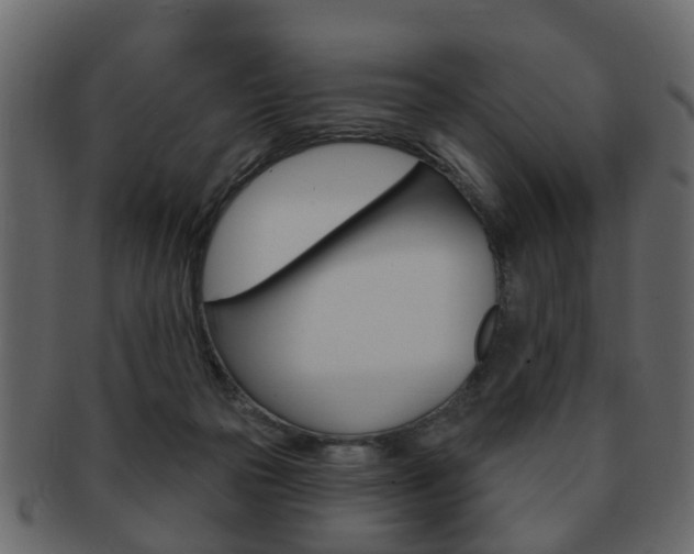 X0000093210169200709261432