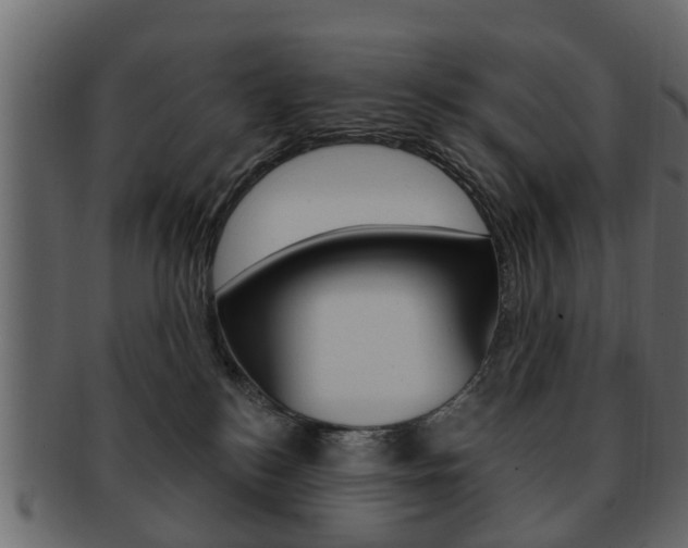X0000093210184200709261432