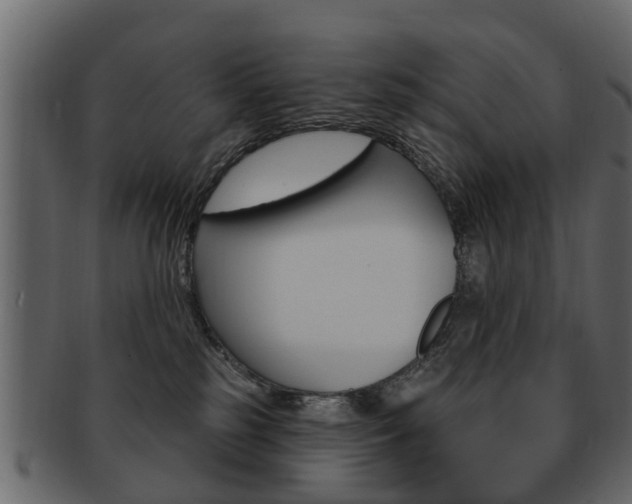 X0000093210185200709261432