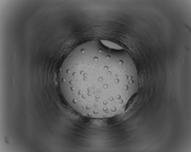 X0000093210187200709261433