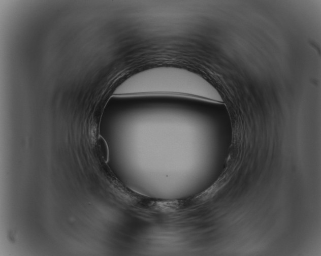 X0000093210188200709261433