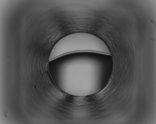 X0000093210192200709261433