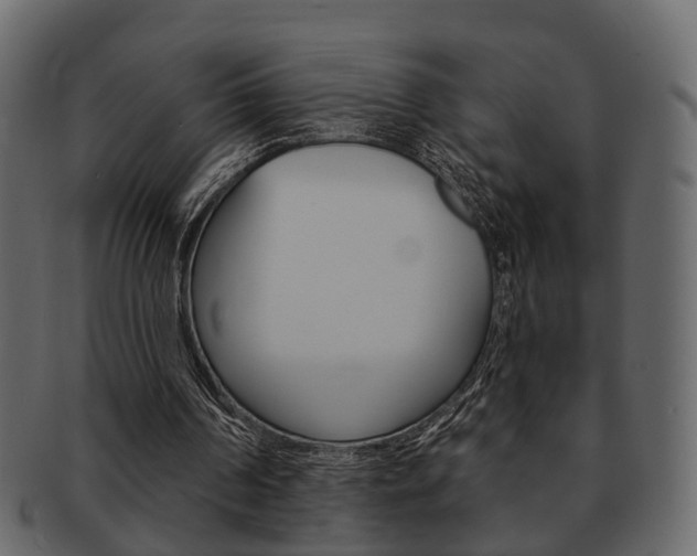 X0000093210194200709261432