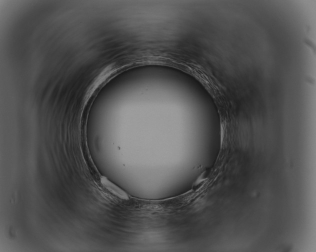 X0000093210195200709261432