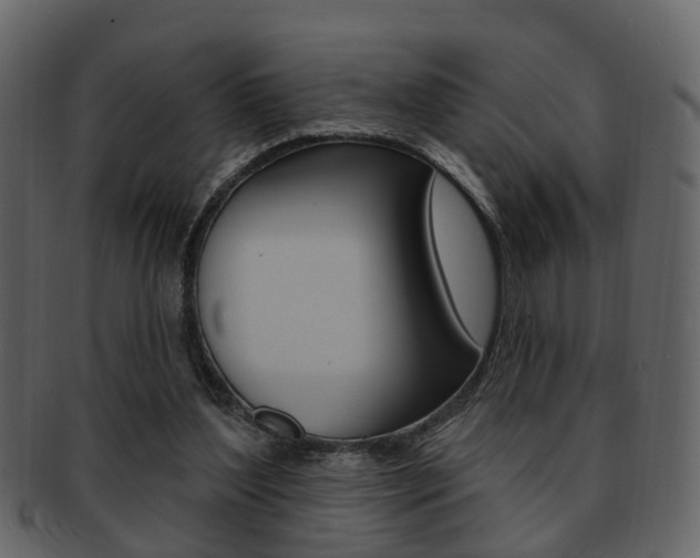 X0000093210204200709261432