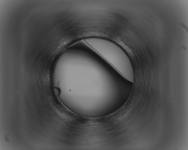 X0000093210207200709261432