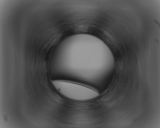 X0000093210224200709261432