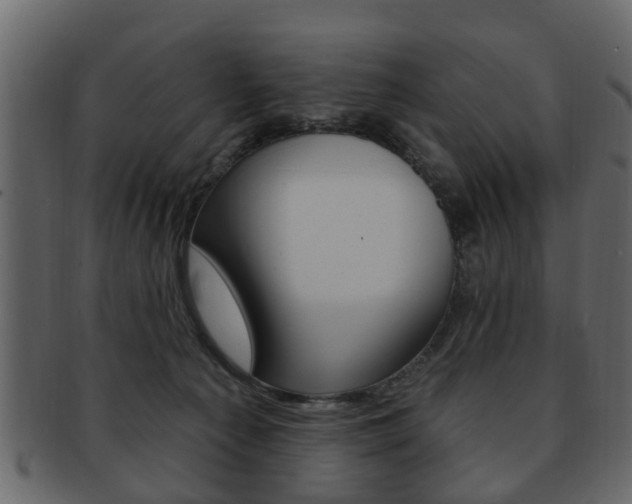 X0000093210225200709261432