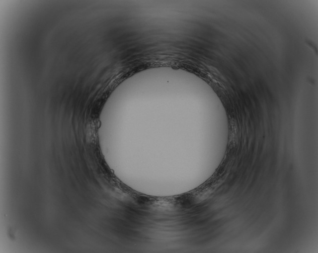 X0000093210236200709261431