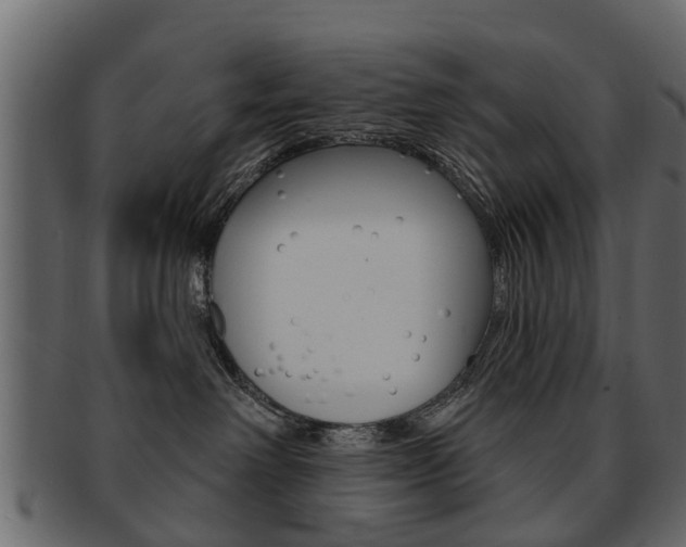 X0000093210238200709261431
