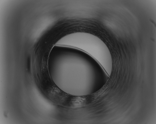 X0000093210239200709261431