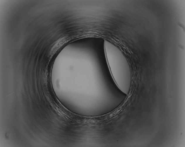 X0000093210242200709261431