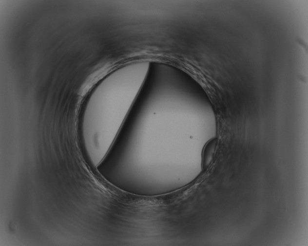 X0000093210245200709261431
