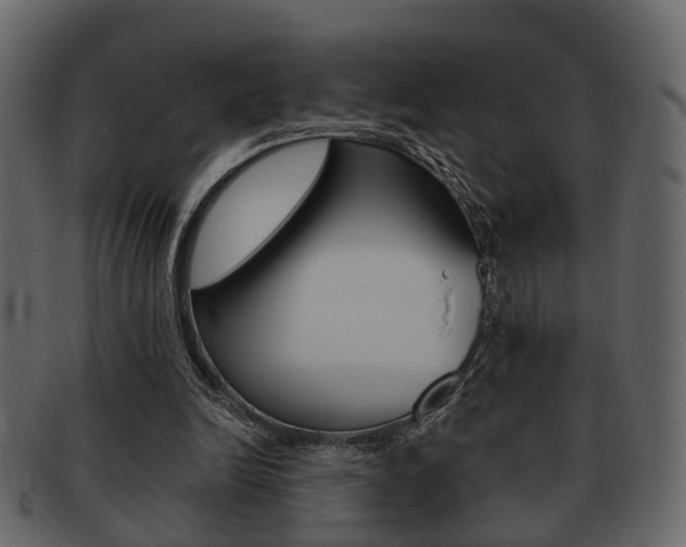 X0000093210246200709261431
