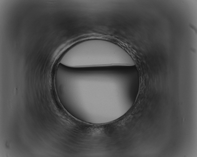 X0000093210247200709261431