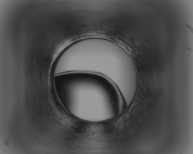 X0000093210248200709261431
