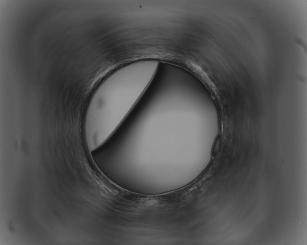 X0000093210249200709261431