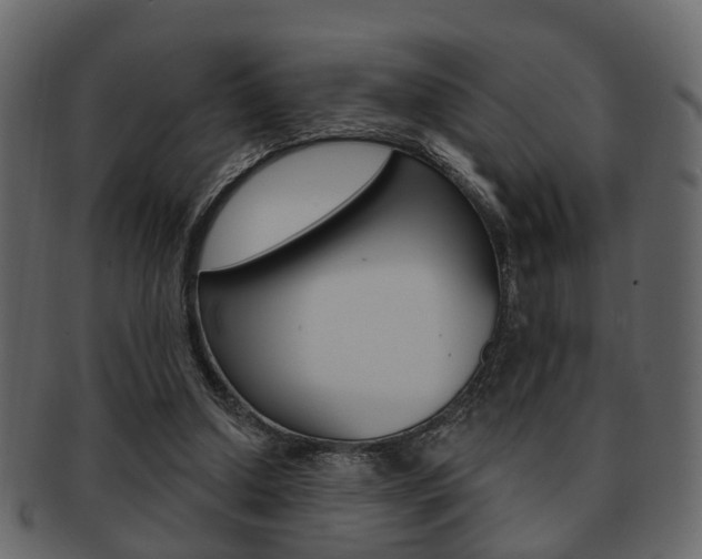 X0000093210250200709261431