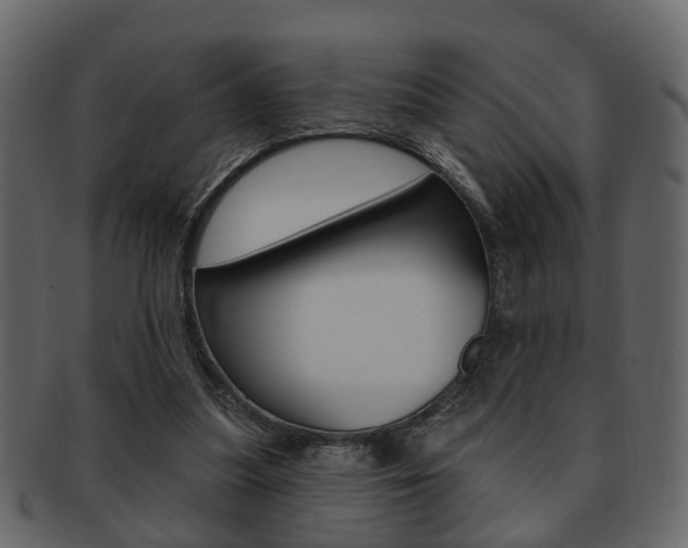 X0000093210251200709261431