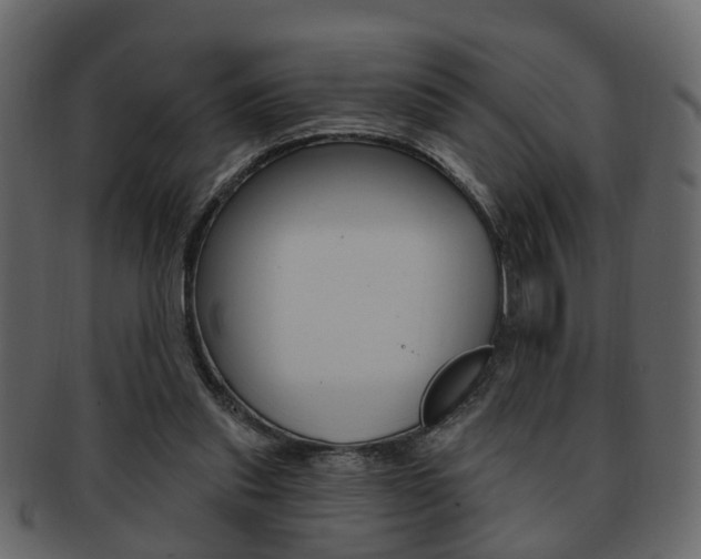 X0000093210253200709261431