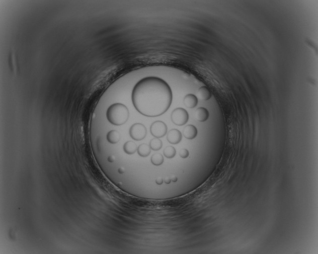 X0000093210254200709261431