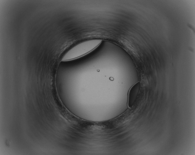 X0000093210255200709261431