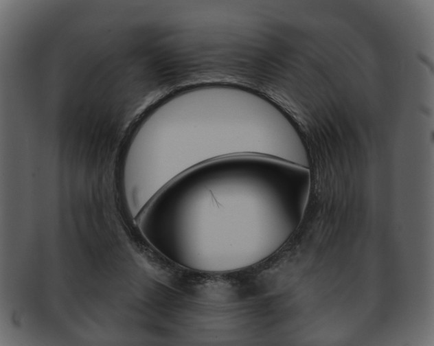 X0000093210256200709261431