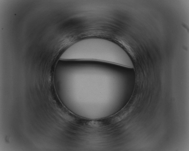 X0000093210261200709261431