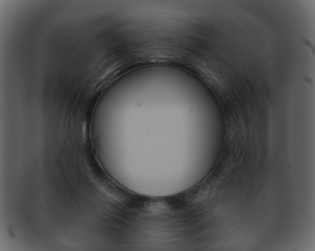 X0000093210262200709261431
